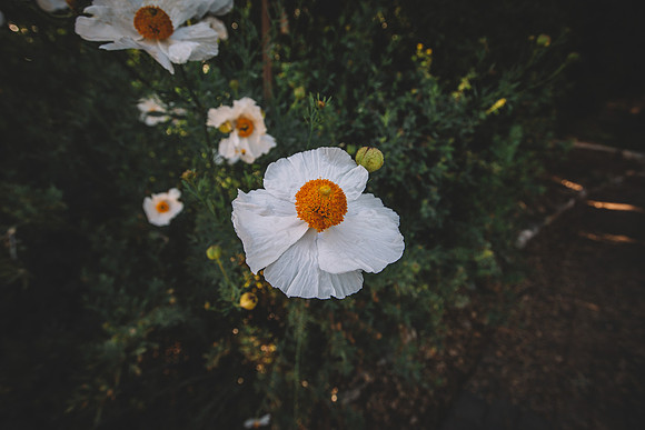 untitled-7