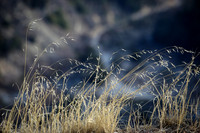 Glendora Ridge